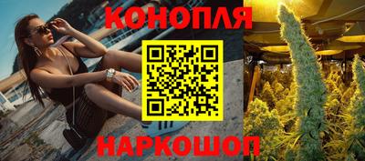PSILOCYBIN Пугачёв