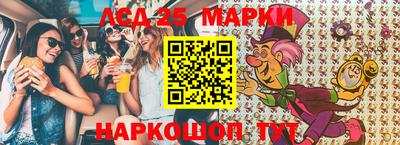 гидропоника Пенза